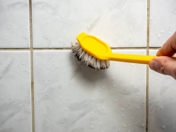 Best Commercial Mold Removal  in Charleston, WV