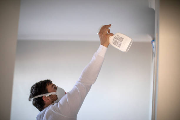 Best Mold Removal and Inspection  in Charleston, WV