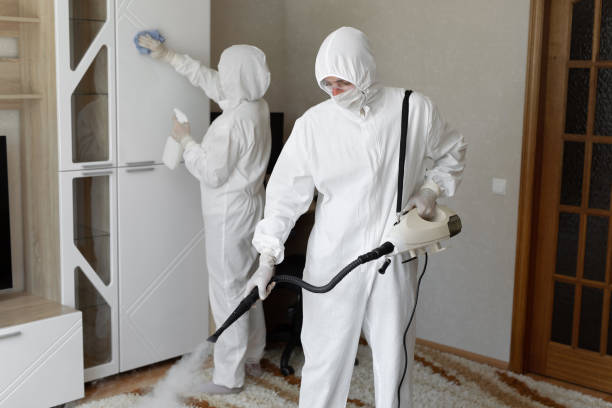 Trusted Charleston, WV Mold Removal Experts