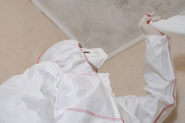 Attic Mold Removal in Charleston, WV